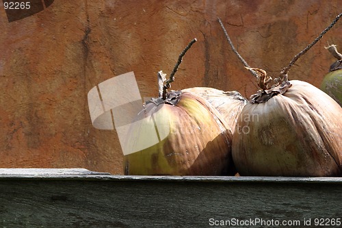 Image of Large exotic dried fruit against an rust brown wall