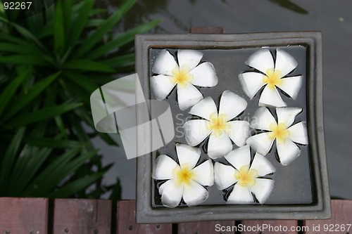 Image of Decorative flowers floating in square dish of water