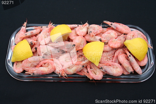 Image of Shrimps