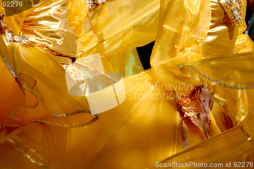 Image of Carnival costume detail