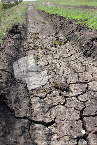 Image of Cracked road track. Ïîòðåñêàâøàÿñÿ äîðîæíàÿ êîëåÿ