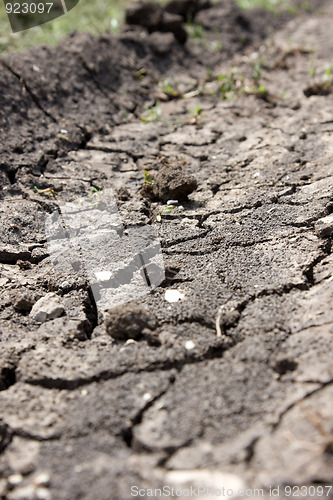 Image of Drought. Çàñóõà