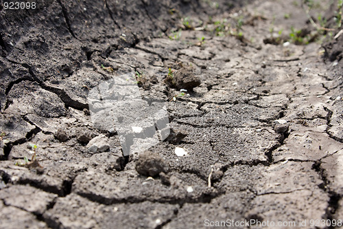 Image of Drought. Çàñóõà