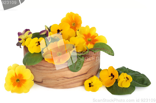 Image of Edible Flower Salad