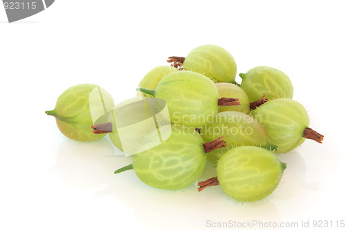 Image of Gooseberry Fruit