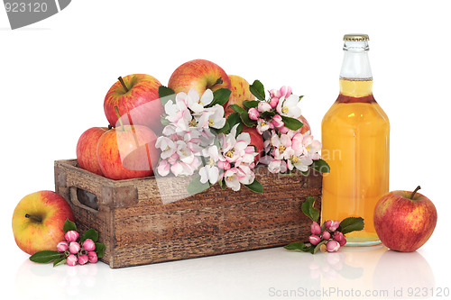 Image of Cider, Apples and Flower Blossom 