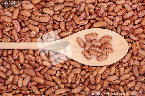 Image of Pinto Beans