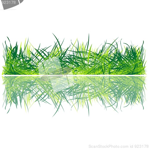 Image of Fresh grass