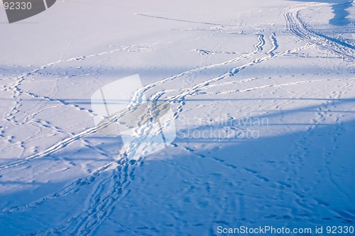 Image of Traces and shadows