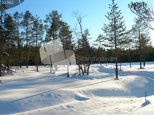 Image of Winter