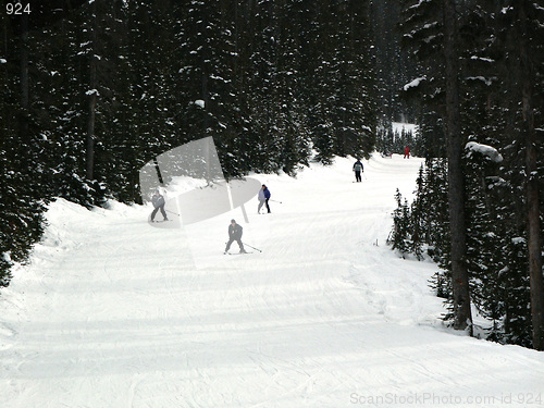 Image of Skiing