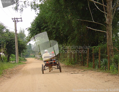 Image of family walking in a chariot