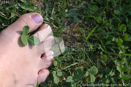 Image of foot and clover