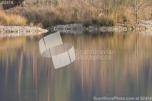 Image of Lake shore