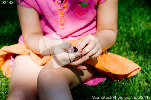 Image of Berry picking