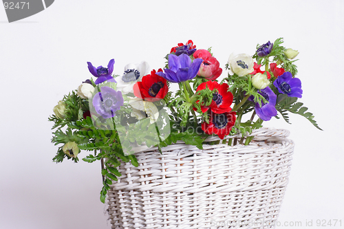 Image of Basket with anemones