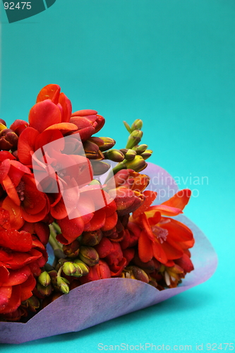 Image of Bunch of flowers
