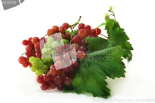 Image of Grapes