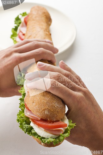Image of Sandwich