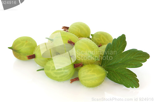 Image of Gooseberries