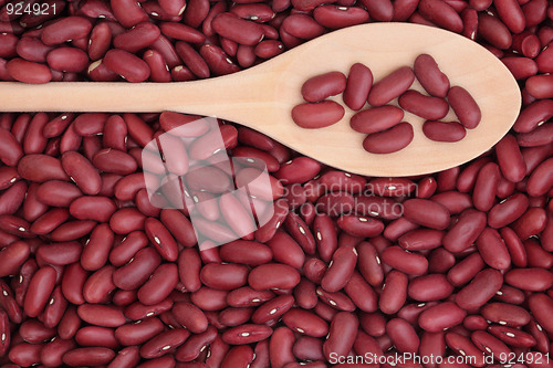 Image of Kidney Beans