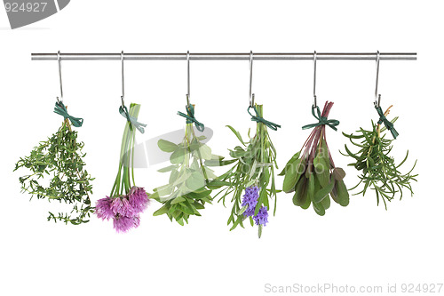 Image of Herbs Hanging and Drying