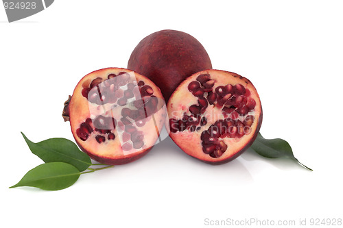 Image of Pomegranate Fruit