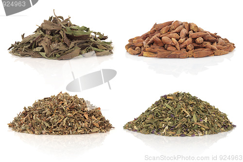 Image of Medicinal and Magical Herbs