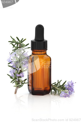Image of Rosemary Herbal Therapy