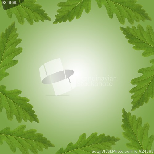 Image of Oak Leaf Abstract Border