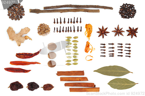 Image of Spice and Herb Selection