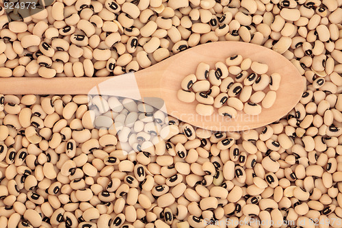 Image of Black Eyed Peas