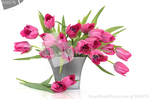 Image of Pink Tulip Flowers