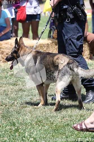 Image of German Shepherd and a Policeman