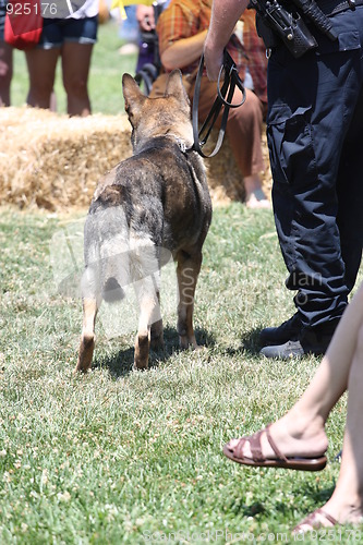 Image of German Shepherd and a Policeman