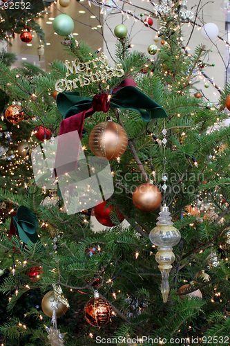 Image of Christmas tree