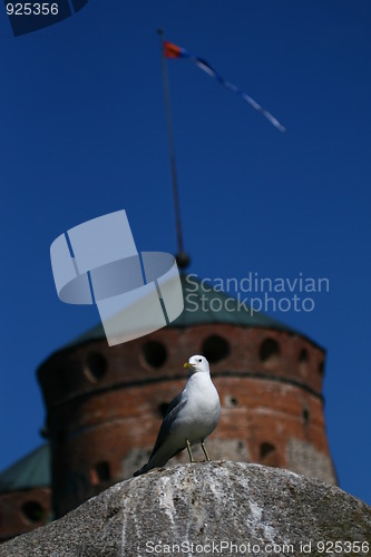 Image of Gull in front of a castle tower