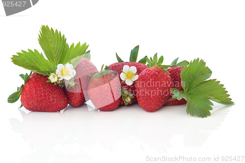 Image of Strawberry Fruit