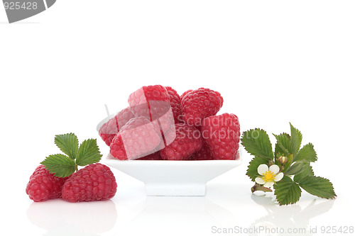 Image of Raspberries and Flower Leaf Sprigs