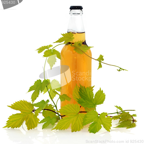 Image of Beer Bottle and Hop Leaves