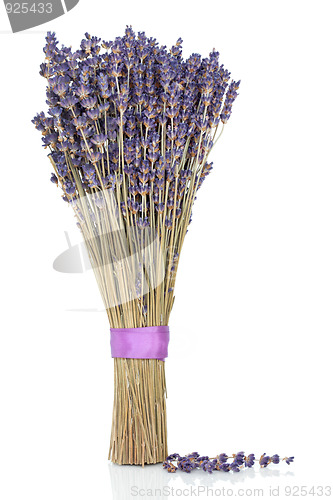 Image of Lavender Herb Flowers