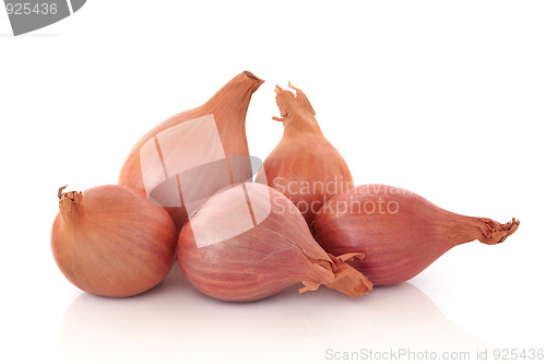 Image of Shallots