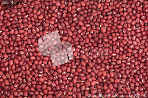 Image of Aduki Beans