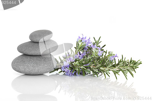 Image of Rosemary Herbal Therapy