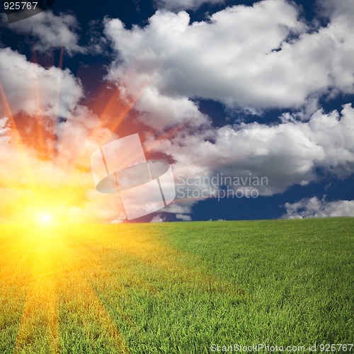 Image of nature
