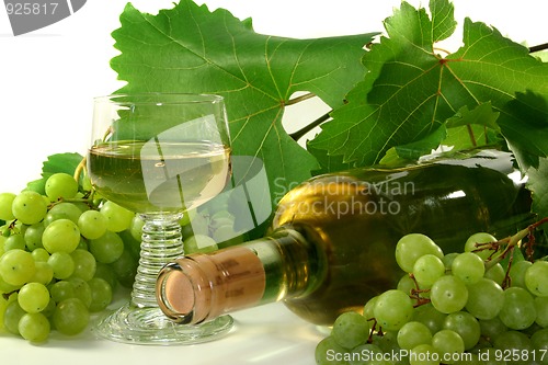 Image of White wine