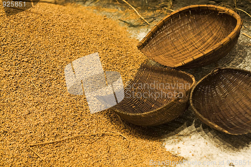 Image of unhusked rice