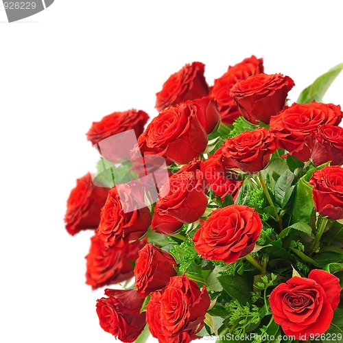 Image of roses