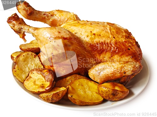 Image of tasty chicken