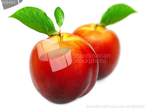 Image of fruit
